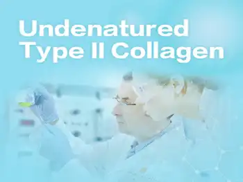 What Sets Undenatured Type II Collagen Powder Apart from Other Collagens?